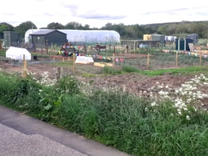 idms community farm allotments 800x600 idms community farm allotments 800x600